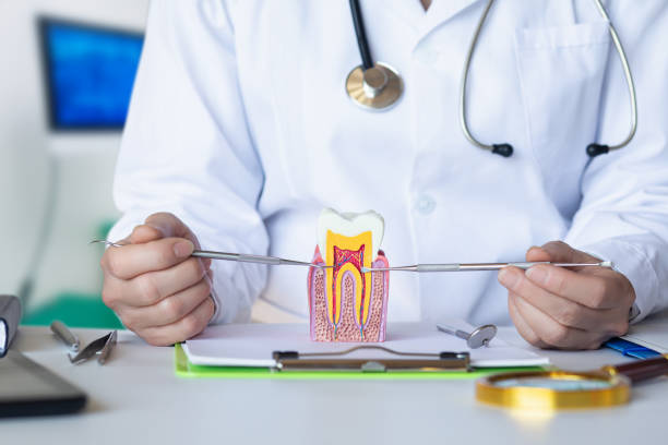 Best Emergency Treatment for Oral Infections in Union City, OH